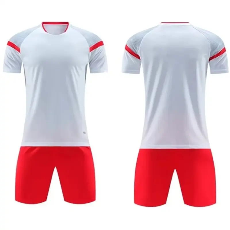 36d3f13e.webp