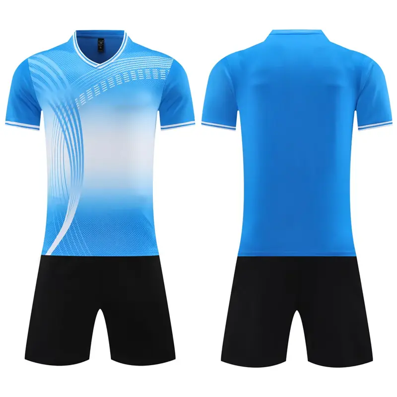 d187037e.webp