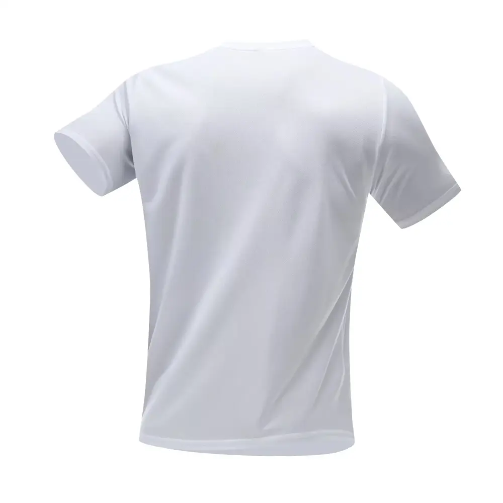 7.webp