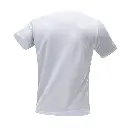 7.webp