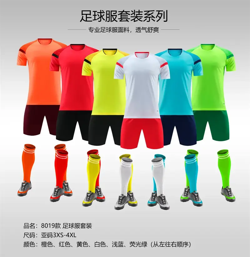 [8019-(3XL-4XL)] 8019-(3XL-4XL)
