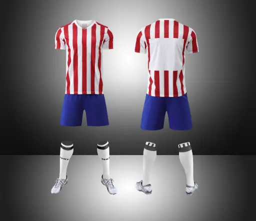 Atletico Madrid (2024–2026)